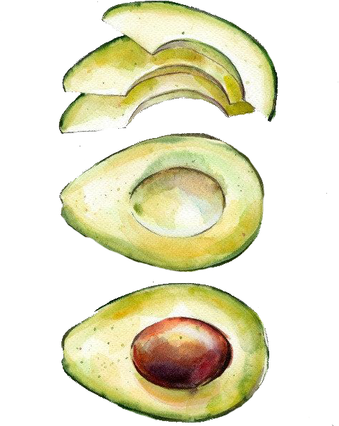 Watercolor Painting Printmaking Avocado - Watercolor Avocado (504x650), Png Download