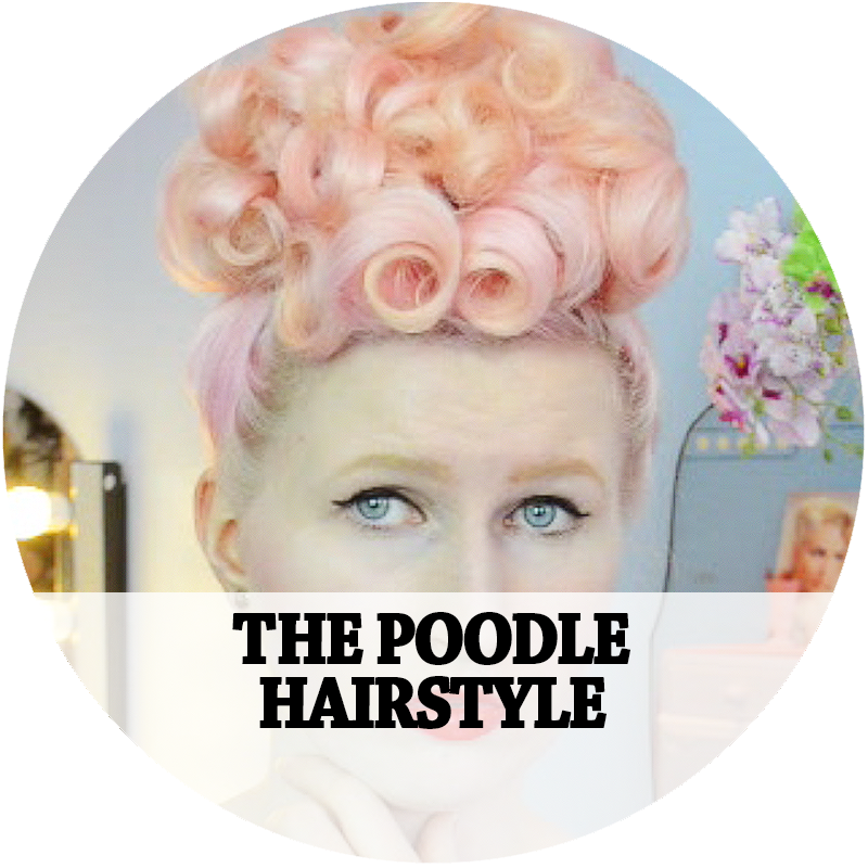 Poodle (800x800), Png Download