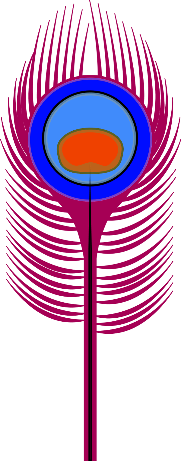 Peacock Feather Coloring Page - Peacock Feather Clip Art (600x1528), Png Download