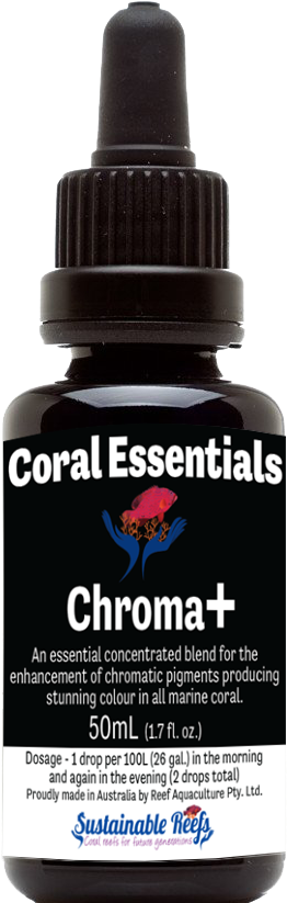 Coral Power Black Label Chroma Hi Def Coral Png Coral - Coral (1024x894), Png Download
