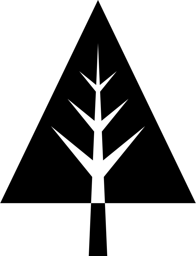 Pine Tree - - Tree Vector Icon (752x980), Png Download