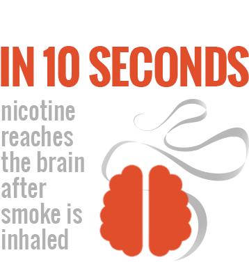 Facts On Tobacco (500x500), Png Download