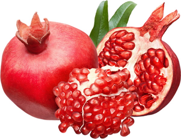 Tube Fruit - Pomegranate Png (600x460), Png Download