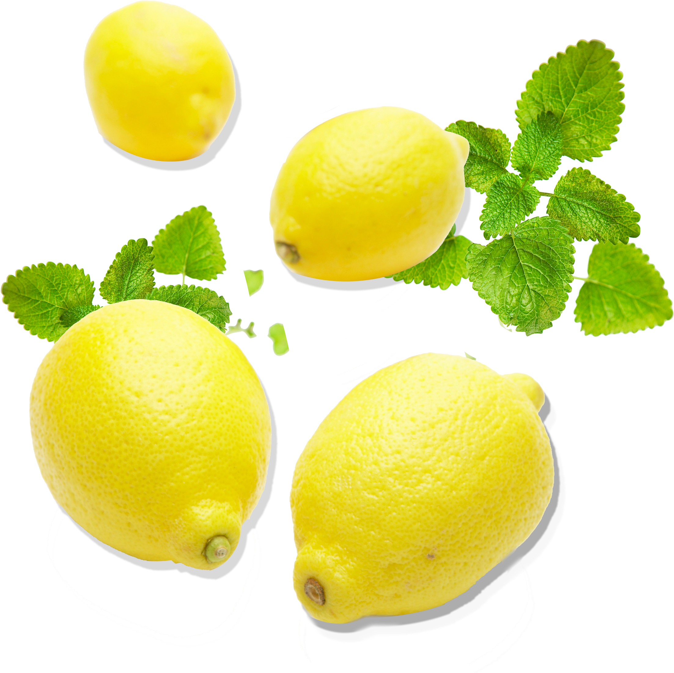 Png Transparent Lemon Citron Citric Acid Transprent - Key Lime (2494x2494), Png Download