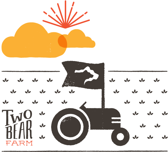 Todd Ulizio (646x583), Png Download