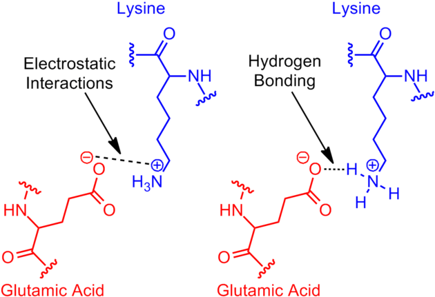 320 × 224 Pixels - What's A Salt Bridge (640x448), Png Download