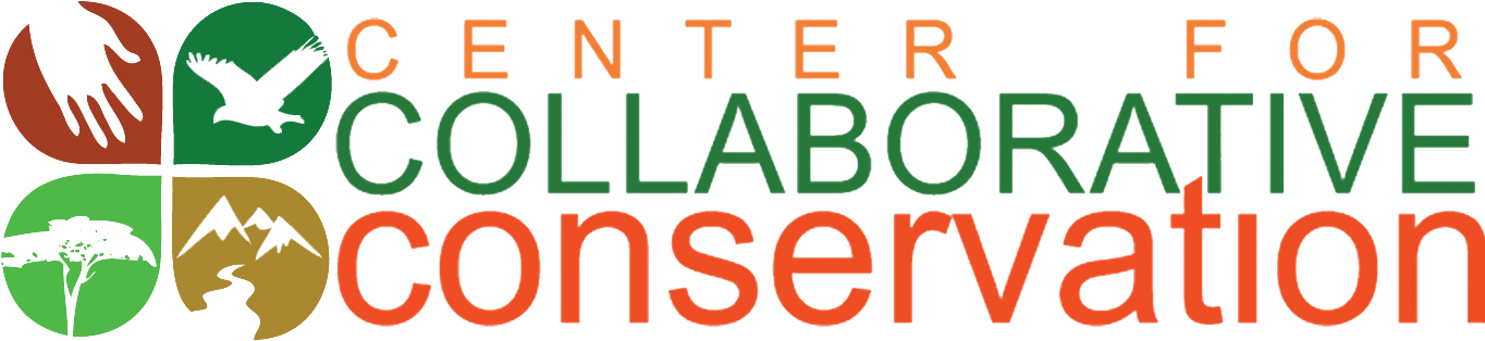 Ccc Large Logo Transparency - Carrera Occhiali Da Sole (1389x318), Png Download