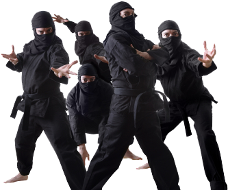 Are You A Ninjaneer Wait Hold Up Let Me Define What - Group Of Ninjas (400x300), Png Download