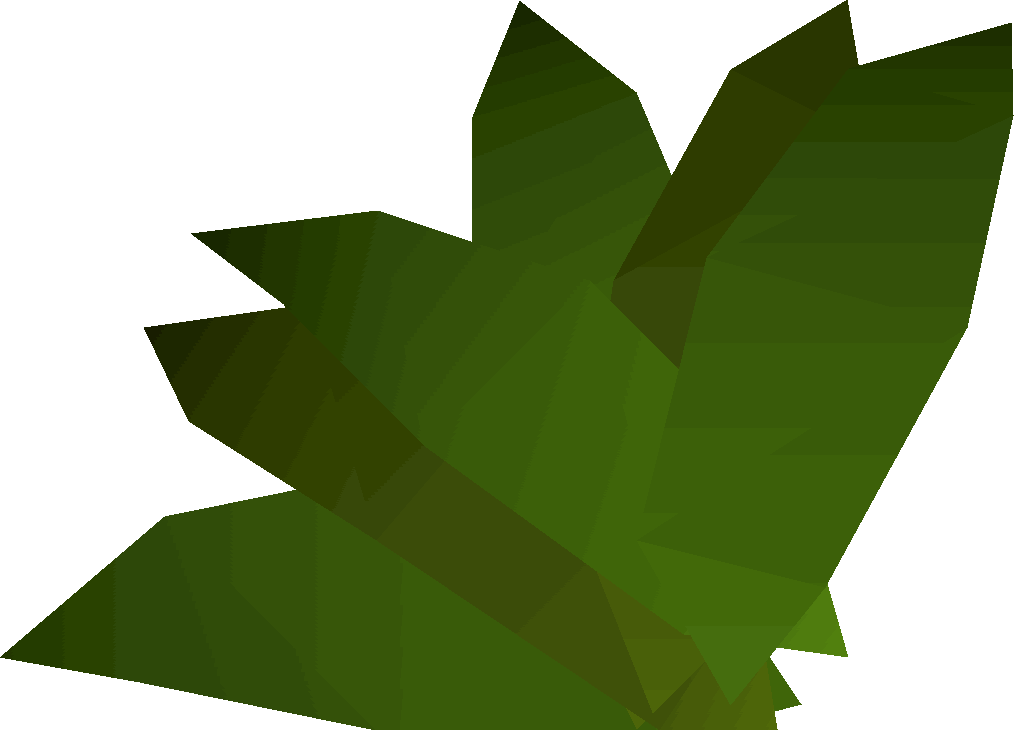 Runescape Guam Leaf (1014x730), Png Download
