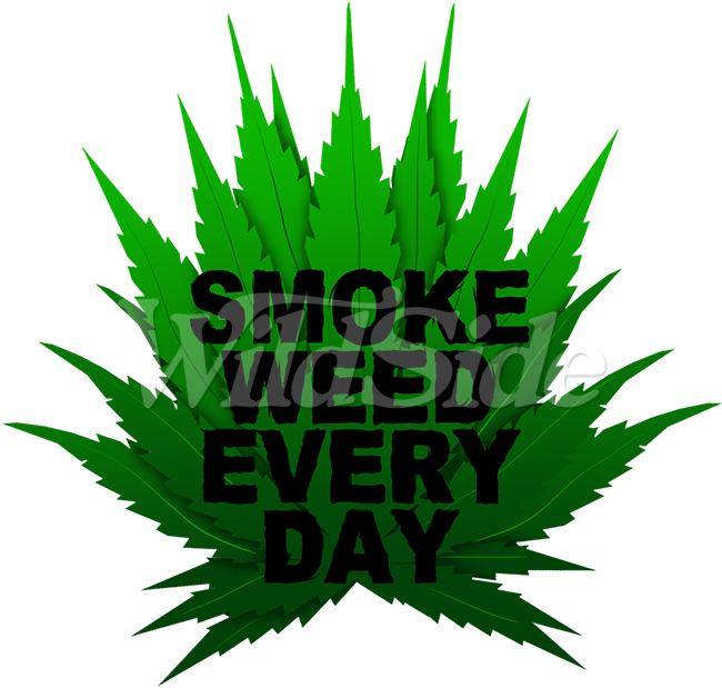 Smoke Weed Every Day Marijuana Lovers Pot Leaf 420 (675x675), Png Download
