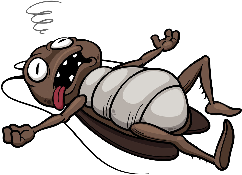 Dead Cockroach Cartoon (1024x832), Png Download