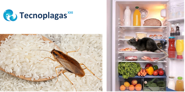 Ratas En La Nevera Y Cucarachas En El Arroz - Rejuvenate Homefresh Odor & Moisture Packs With (640x319), Png Download