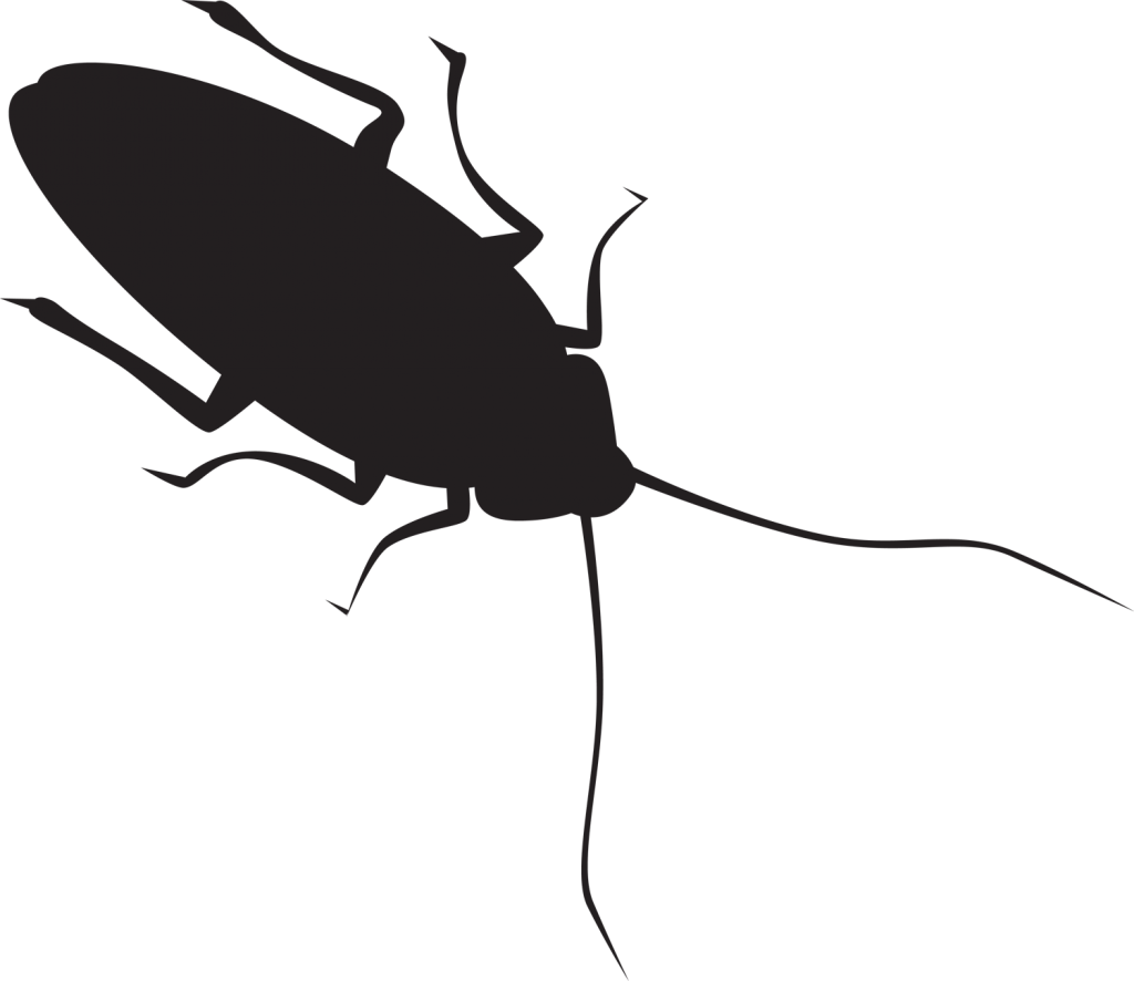 Pin By Heather Lindsey On Cricut Roaches - Cockroach Silhouette (1024x886), Png Download