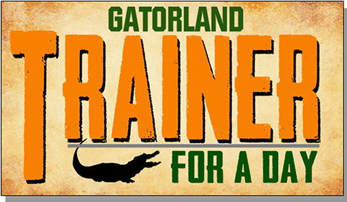 An Experience You Will Not Forget - Poster (600x400), Png Download