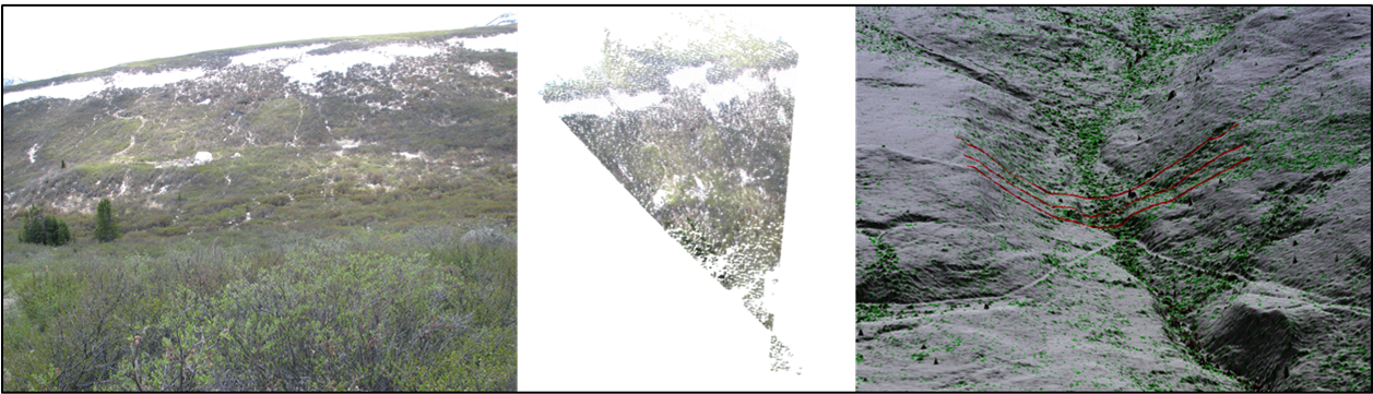 Grass (1256x371), Png Download