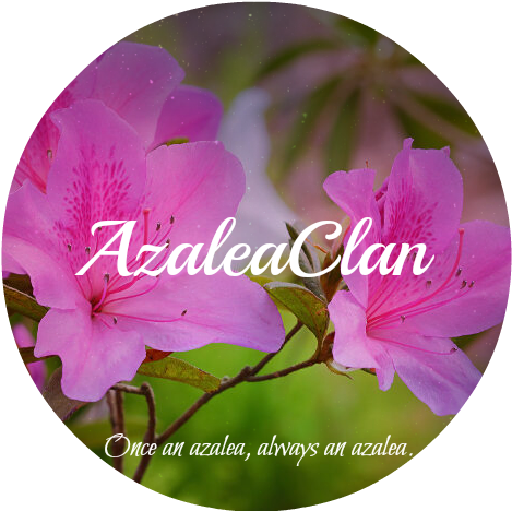 Azalea-meaning - Impatiens (700x467), Png Download