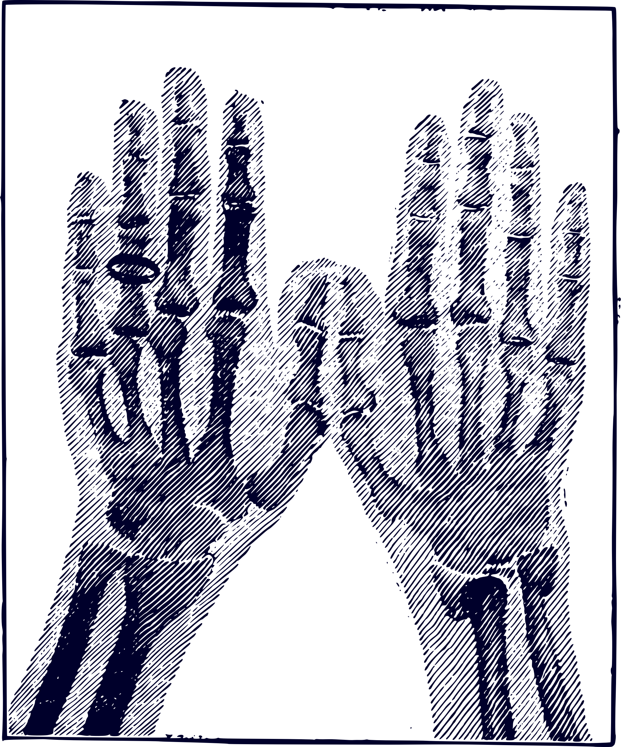 This Free Icons Png Design Of X-ray Image (1996x2400), Png Download