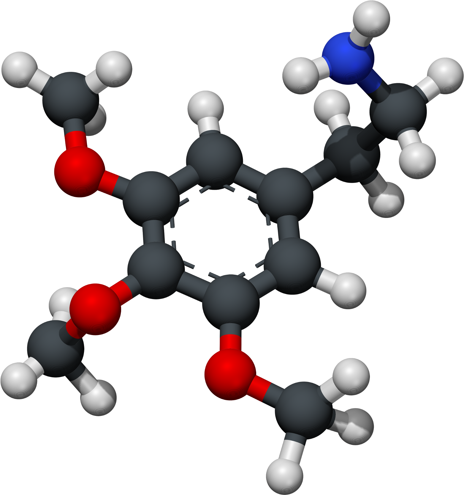 Mescaline 3d Xray Ballstick - Quimica Y La Ciencia (1600x1693), Png Download