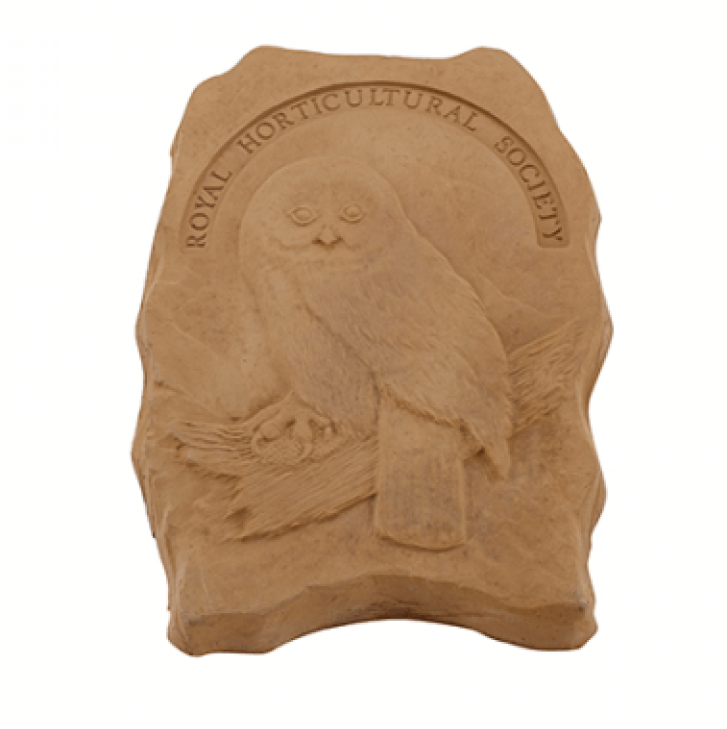 Rhs Endangered Wildlife Stepping Stone - Endangered Species (900x900), Png Download