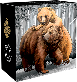 145355 Box-570 - Grizzly Bear (570x570), Png Download
