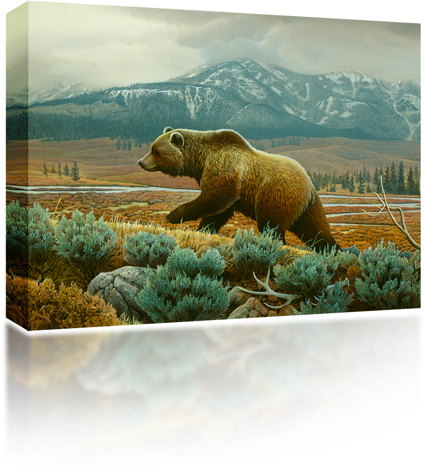 Grizzly Bear - World Of Animals [book] (1024x1024), Png Download