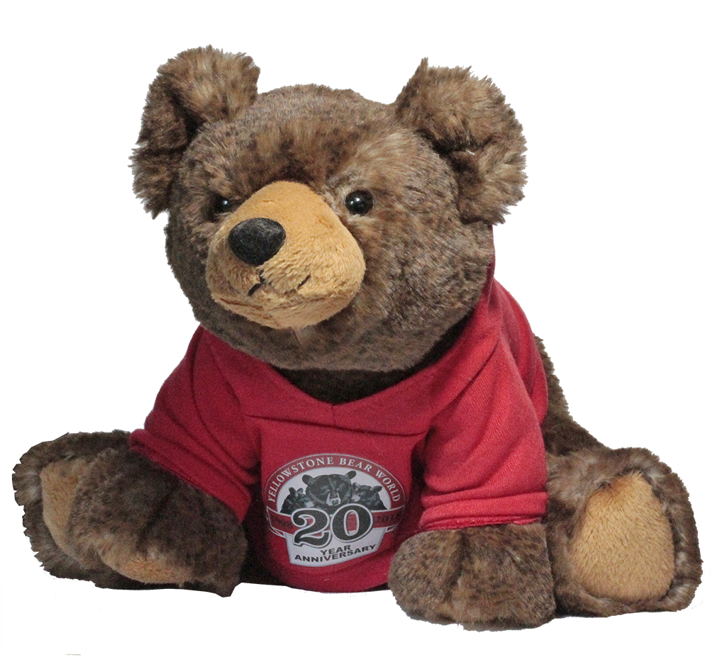 20 Year Anniversary Bear Plush Grizzly Red Hoodie - Anniversary (1000x1000), Png Download
