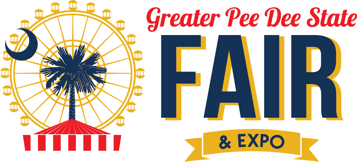 Sc Palmetto & Crescent (o) Throw Blanket (1164x527), Png Download