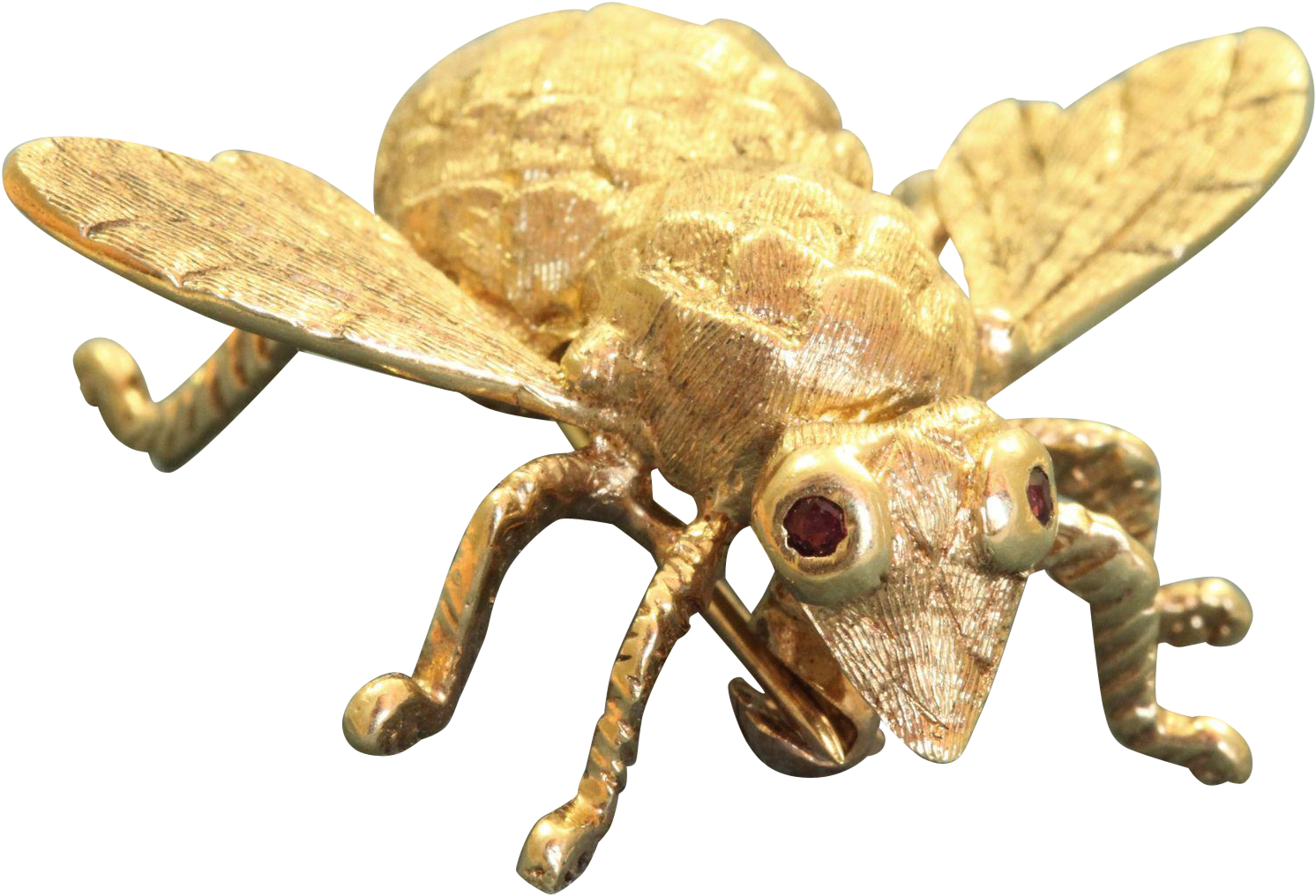 Estate 14 K Large Bug Pin With Ruby Eyes (1491x1491), Png Download