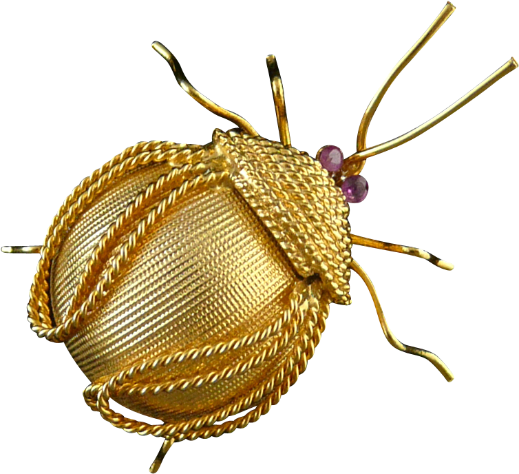 Corocraft Bug Brooch With Ruby Eyes - Jewellery (753x753), Png Download