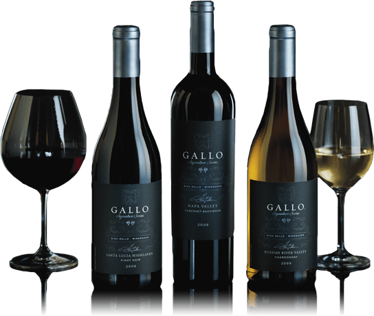 We Envision The Future - Gallo Wine (544x460), Png Download