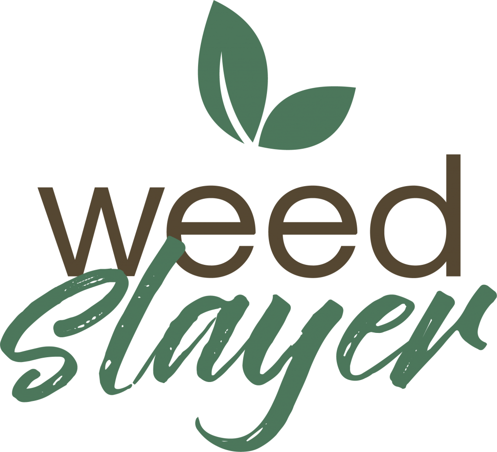 We Are Pleased And Proud To Announce The Launch Of - Erica Peat & Diable (1024x930), Png Download