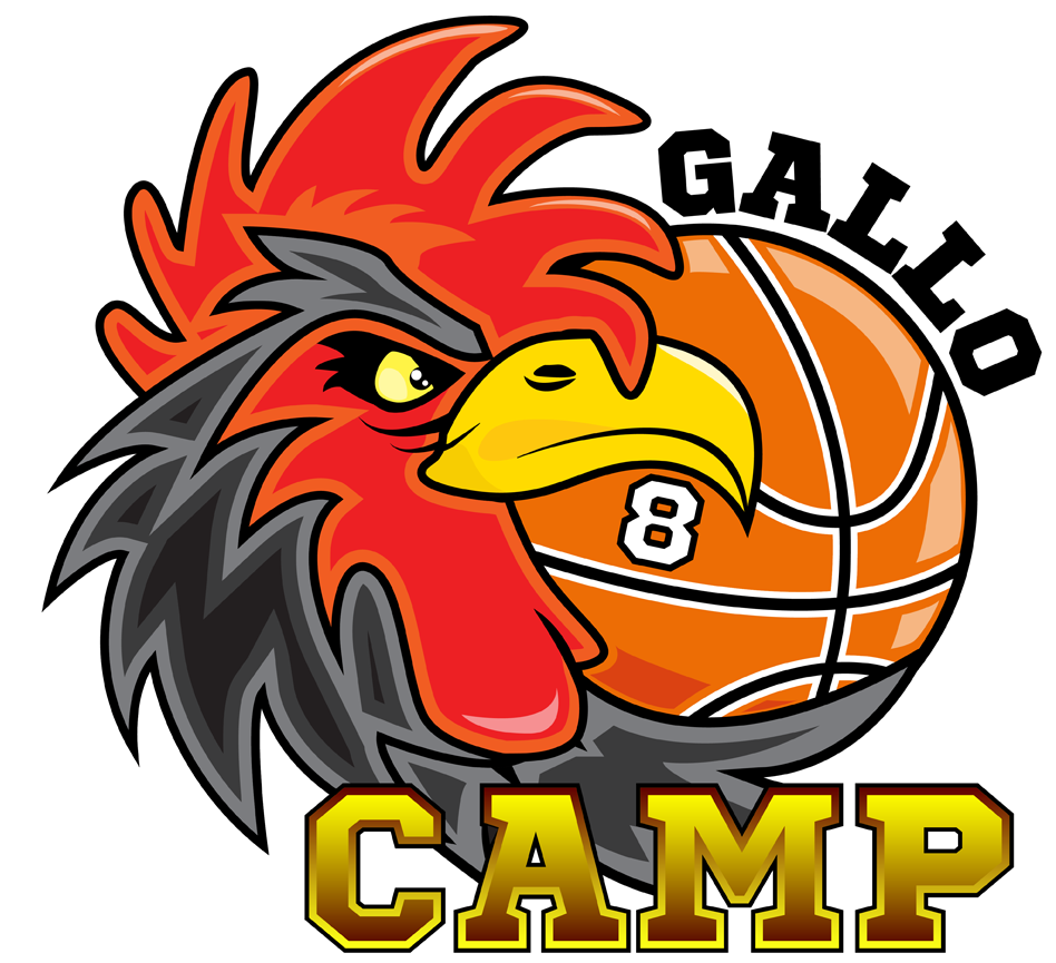 57 Commenti - Gallinari (1000x1000), Png Download