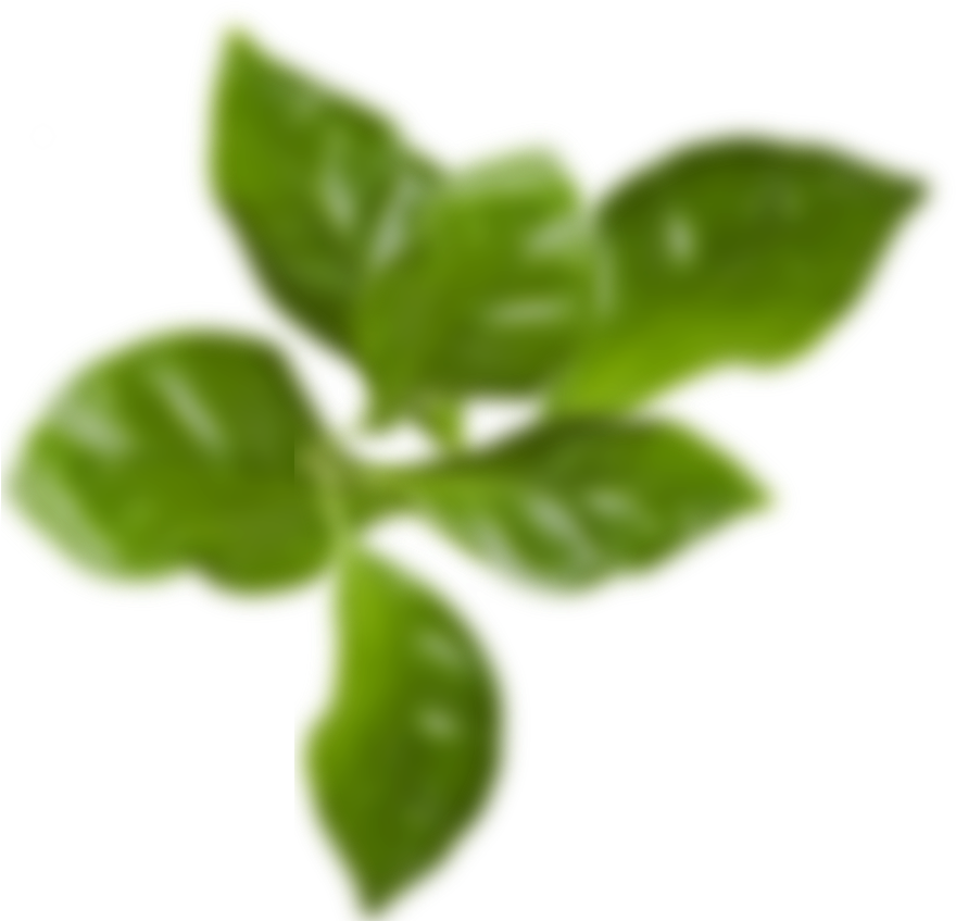 See Our Accessories - Blurred Out Leaf Png (900x871), Png Download