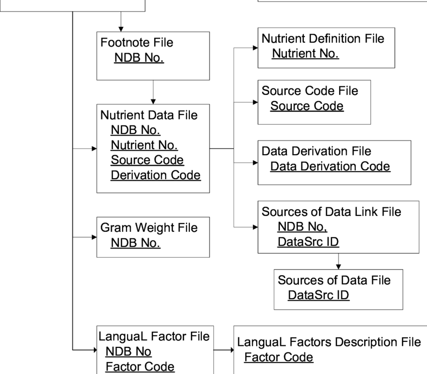 Relationships Among Files In The Usda National Nutrient - Usda National Nutrient Database (850x745), Png Download