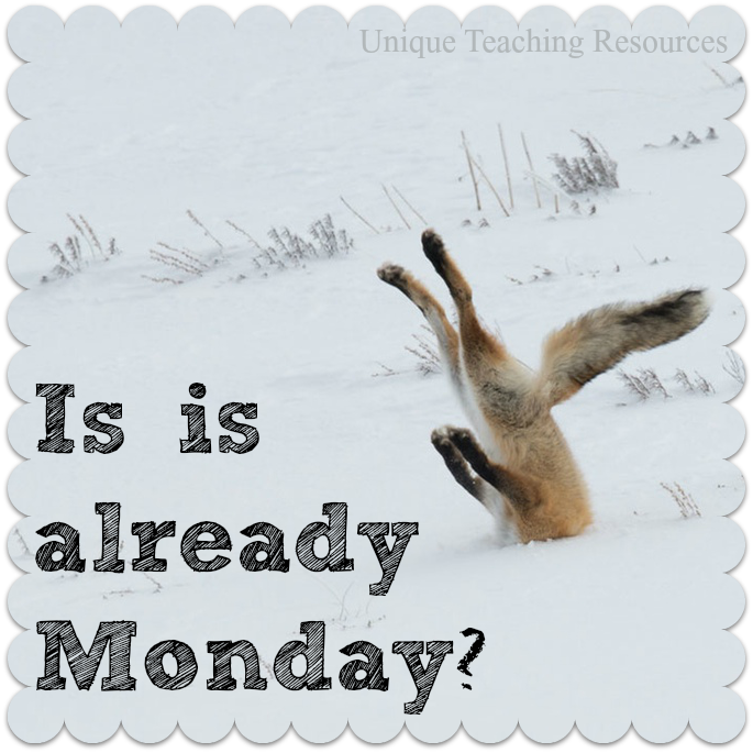Png Monday Fox Head In Snow Is It Already Monday - Comedy Wildlife Photography Awards (hardcover) (685x685), Png Download