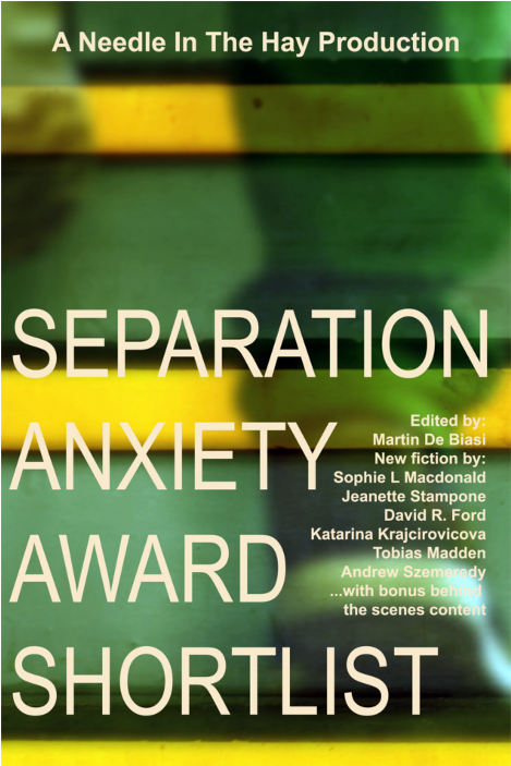 Separation Anxiety Award Shortlist Free Ebook - E-book (593x1006), Png Download