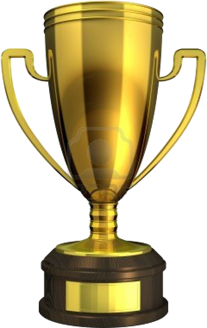 Copa Ganador Png - Trophy (720x1140), Png Download