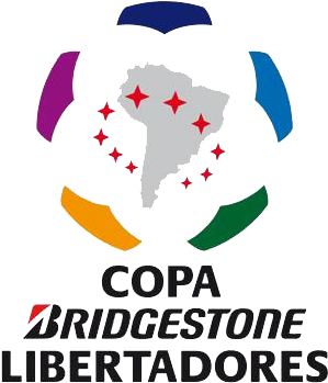 Copa Bridgestone Libertadores - Copa Libertadores (376x354), Png Download