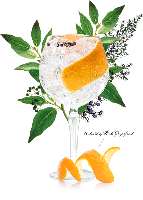 Summer Serve Copa - Common Juniper Alchemy Plant (660x934), Png Download