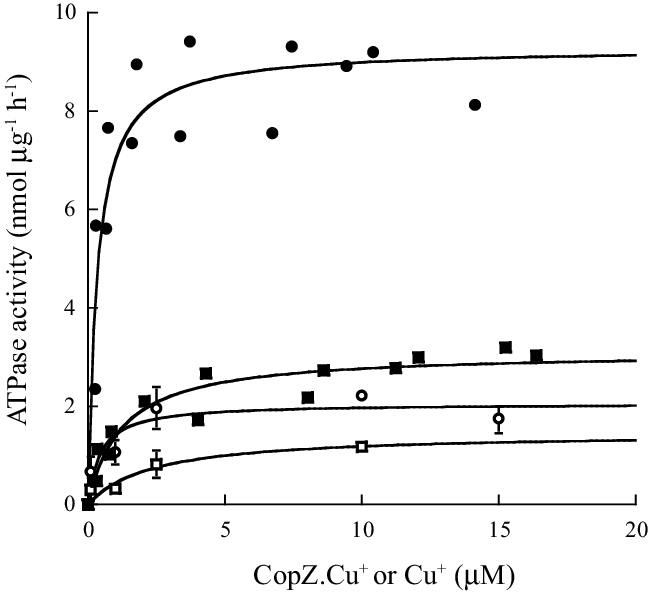 Copzcu Activation Of N,c-copa And C 27,30,751,754 A - Copper (648x592), Png Download