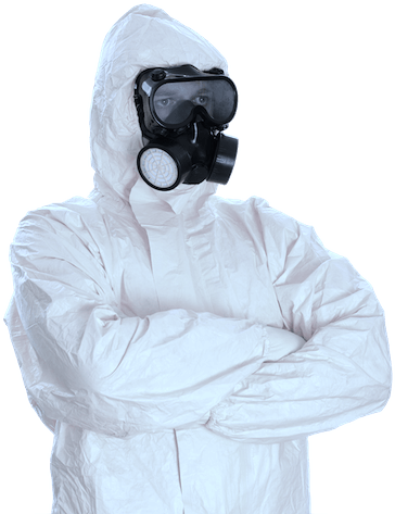 Utah Meth Removal Service - State Your Business Thot (500x504), Png Download
