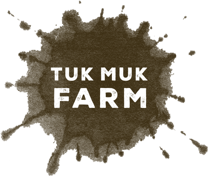Tukmuk Website Logoart V3 - Ülke Tv (720x600), Png Download