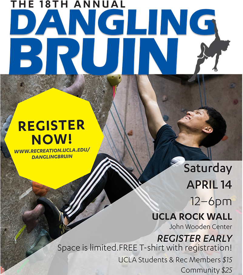 The Dangling Bruin Is A Points-based, Climbing Competition - Brown (800x920), Png Download