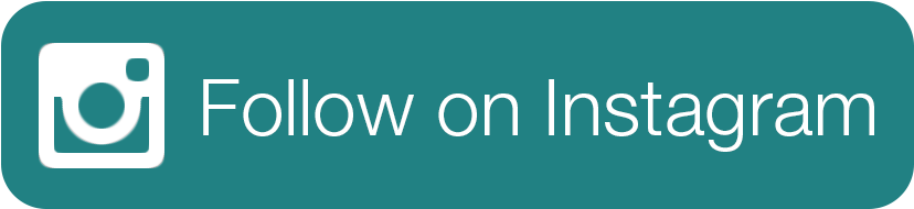 Download Follow Icon - Instagram Camera PNG Image with No Background ...