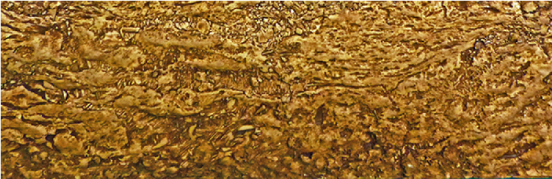 8606 Blasted Sandstone Rock Wall - Sandstone (800x800), Png Download