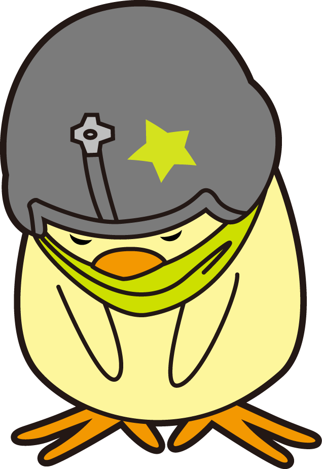 Sincere Nugget - Ace Combat Infinity Nugget (635x924), Png Download