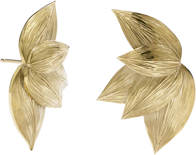 Earring (1024x1024), Png Download