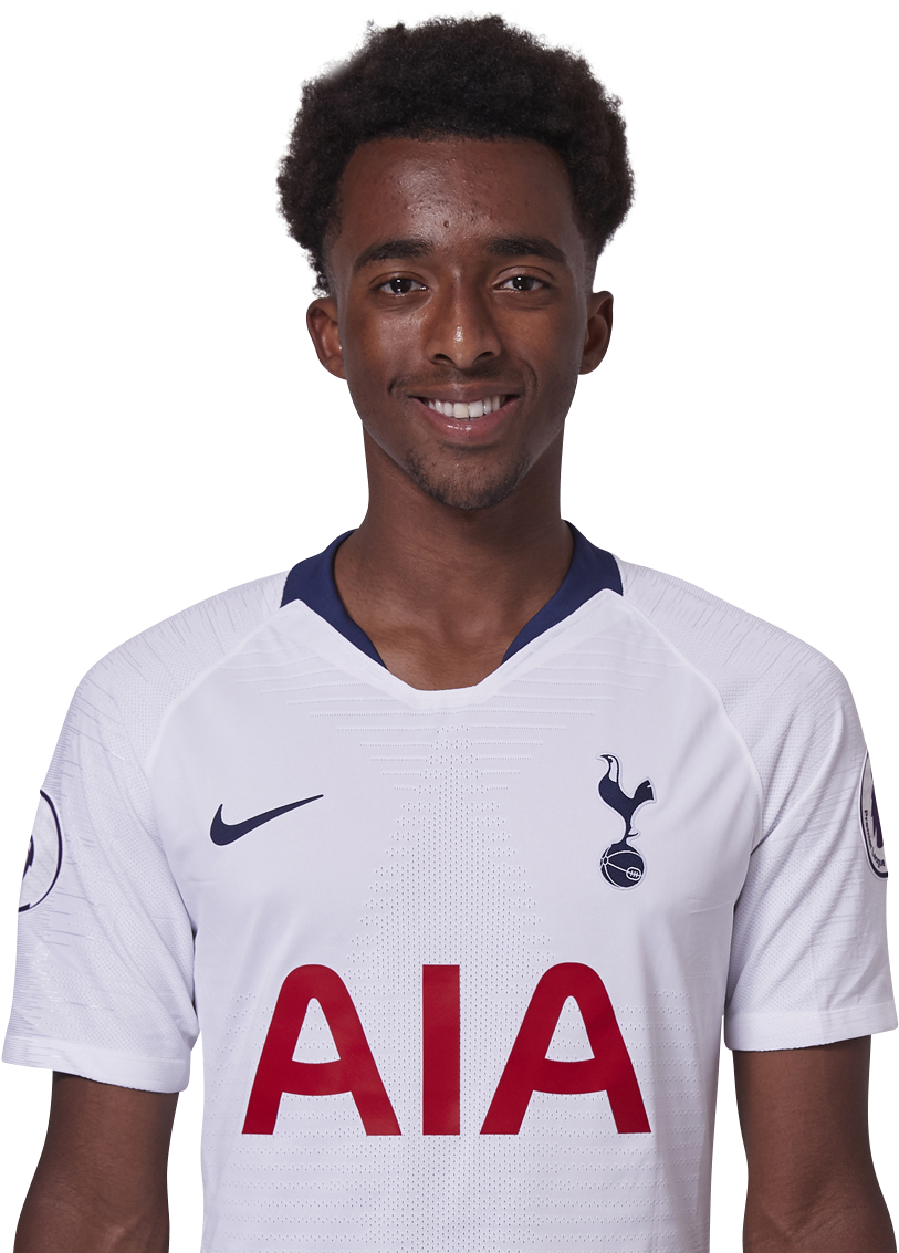 Tashan Oakley-boothe - Tottenham Kit 18 19 (1024x1145), Png Download