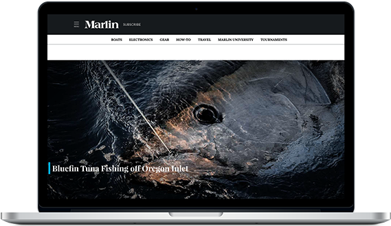 Get Our Newsletter - Gadget (600x363), Png Download