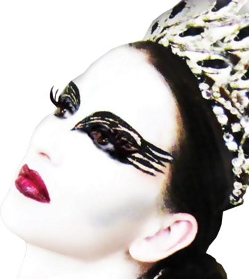 Official Psds Black Models - Xotic Eyes Black Swan Eye Kit, Black Swan Glitter Make (358x400), Png Download